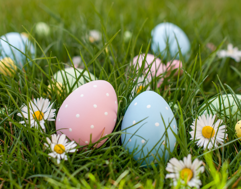 Easter eggs and daisies in the grass
