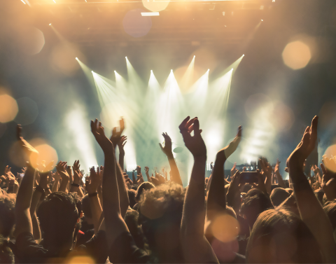 People at a festival / concert