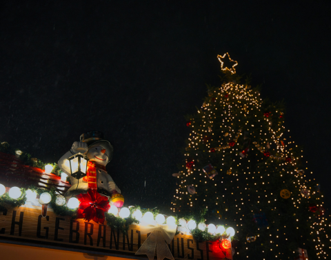 Christmas Tree and Stall at Dublin Christmas Market
