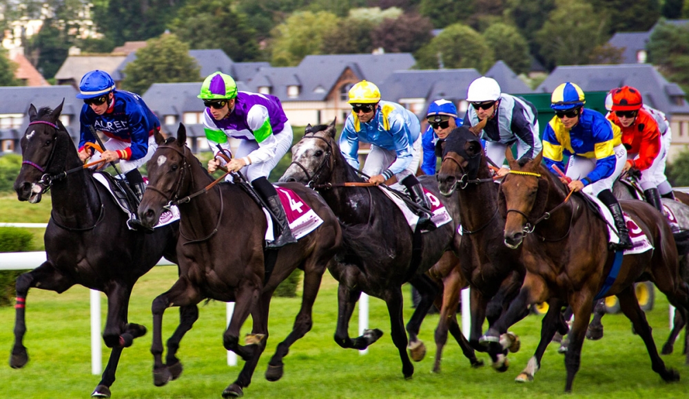 Leopardstown Racing